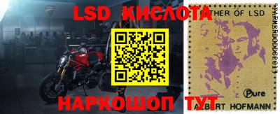сатива Будённовск